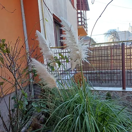 Garsoniera Clara, La Casa Apartment Timisoara Exterior photo