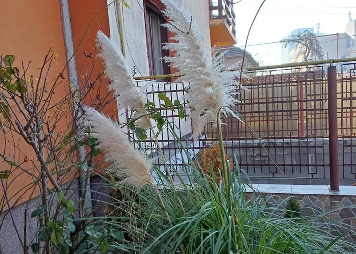Garsoniera Clara, La Casa