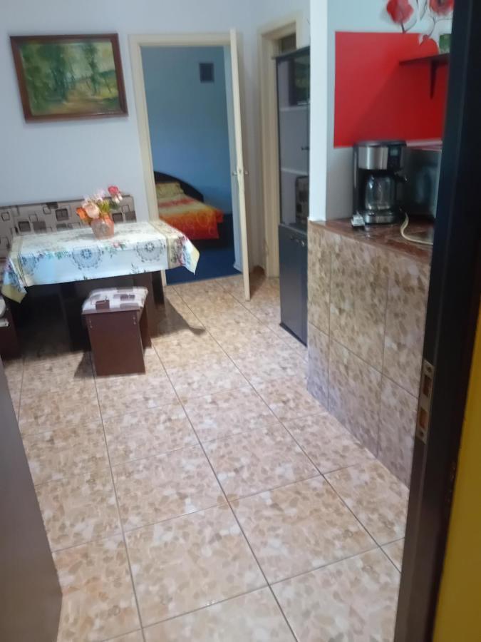 Garsoniera Clara, La Casa Timisoara